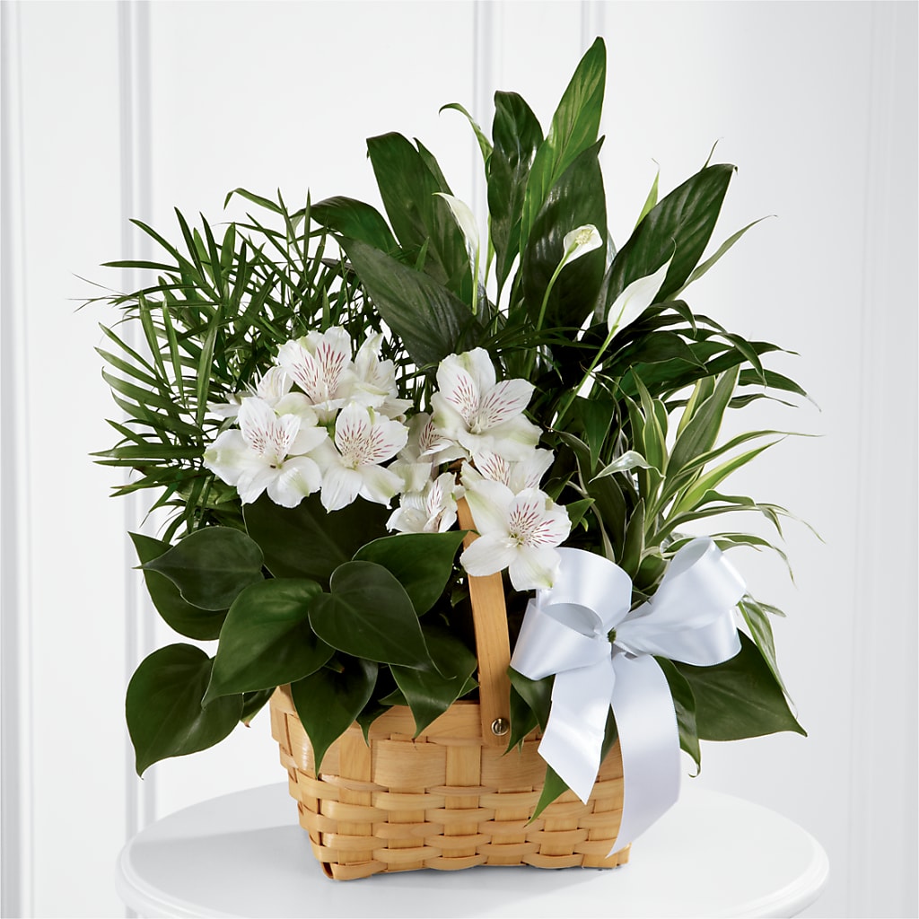 Peace & Serenity Dishgarden – Oceanside Florist, Oceanside NY