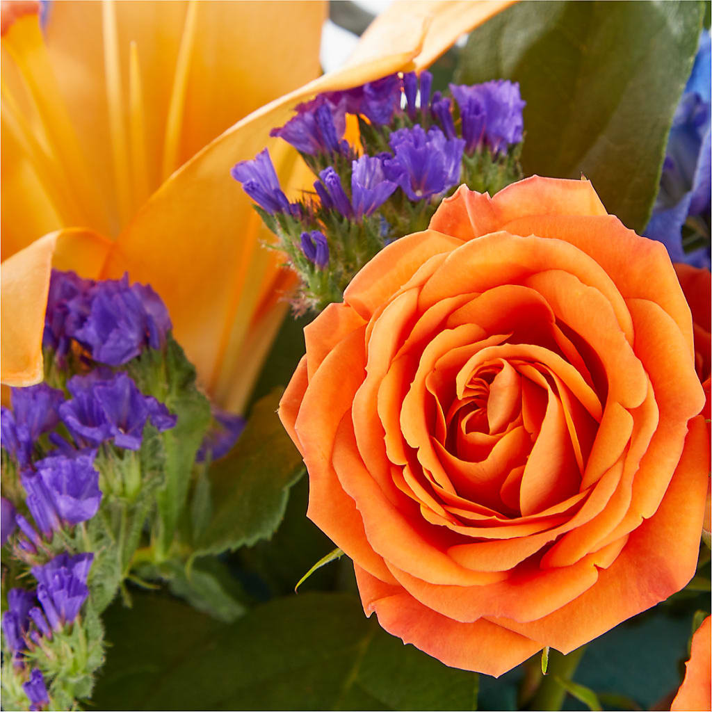 Radiant Citrus Box Bouquet – Oceanside Florist, Oceanside NY