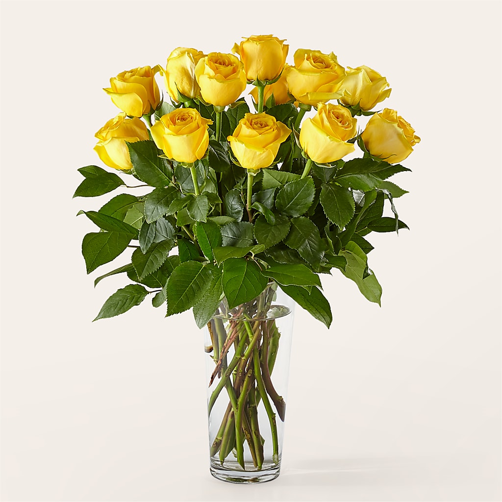 Long Stem Yellow Rose Bouquet – Oceanside Florist, Oceanside NY