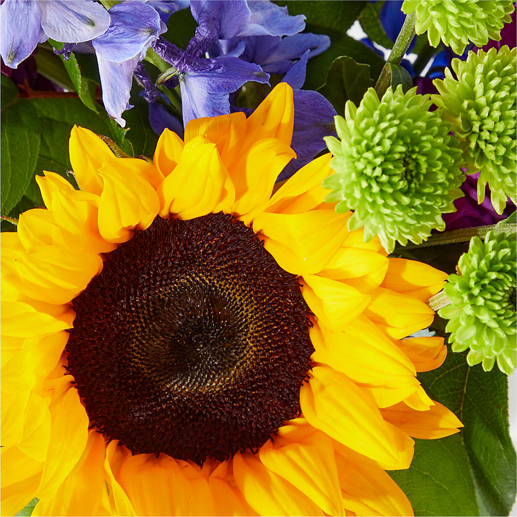Catching Rays Bouquet – Oceanside Florist, Oceanside NY