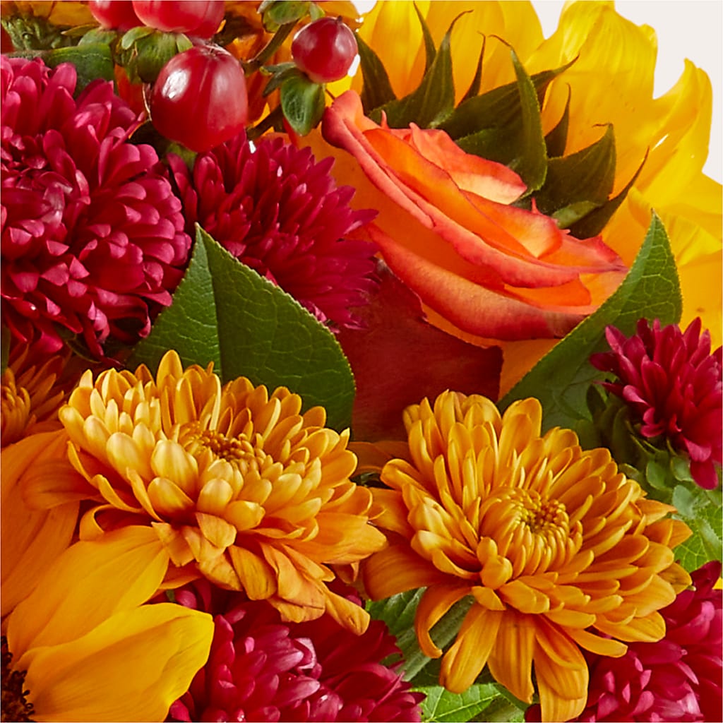 Sweater Season - A Florist Original – Oceanside Florist, Oceanside NY