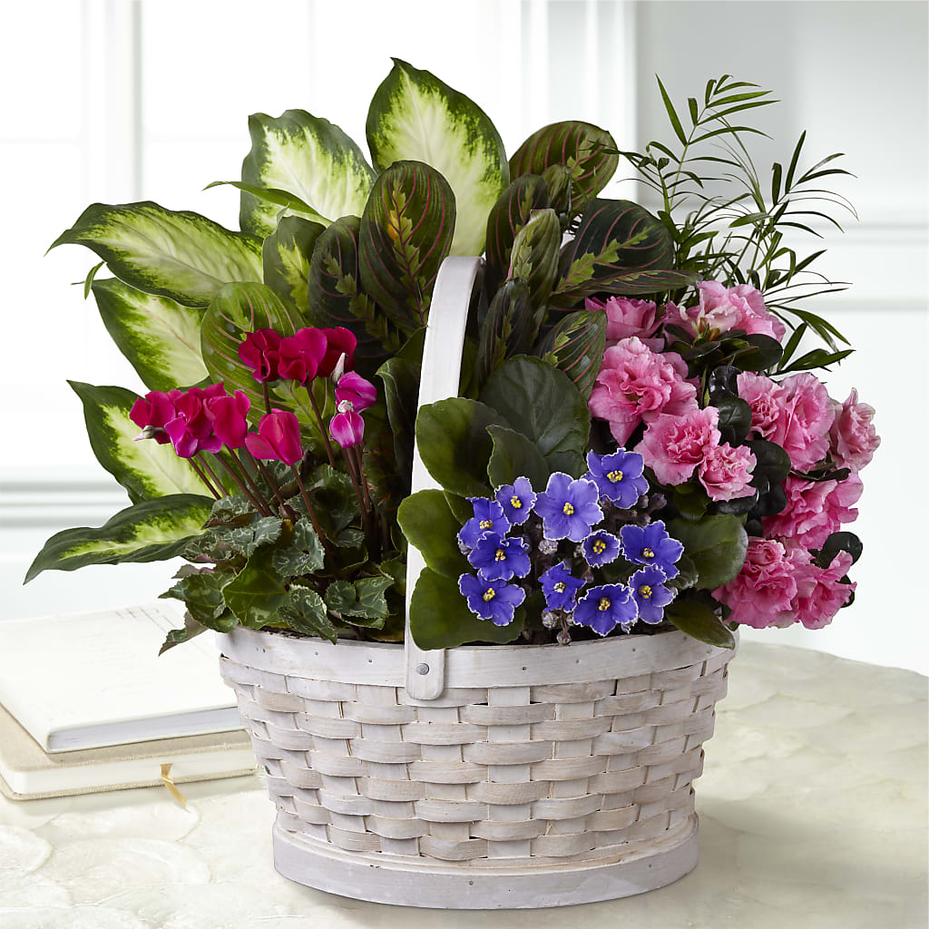 Peaceful Garden Planter – Oceanside Florist, Oceanside NY