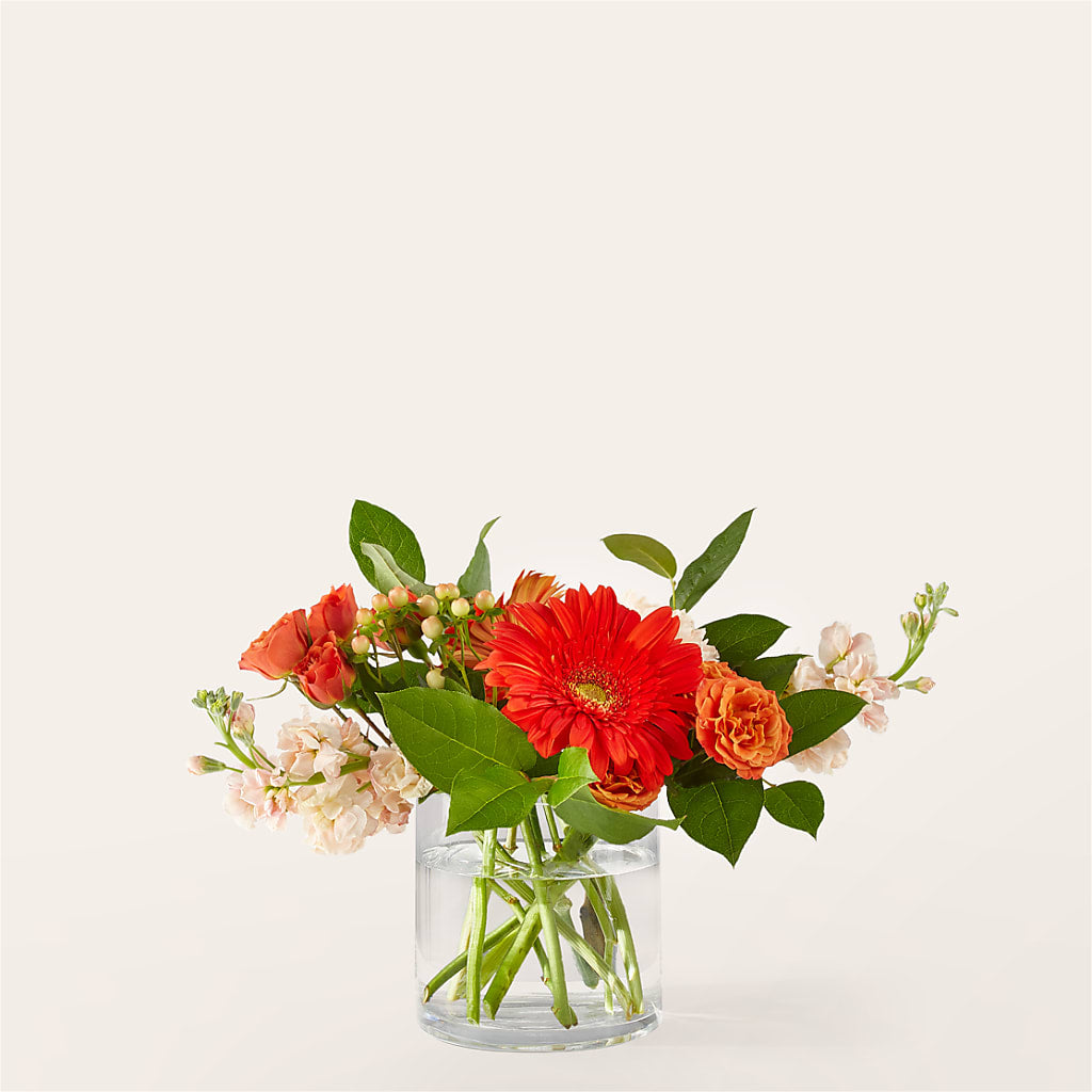 Paloma Please Bouquet – Oceanside Florist, Oceanside NY