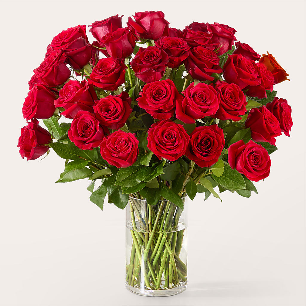 The One Red Rose Bouquet – Oceanside Florist, Oceanside NY