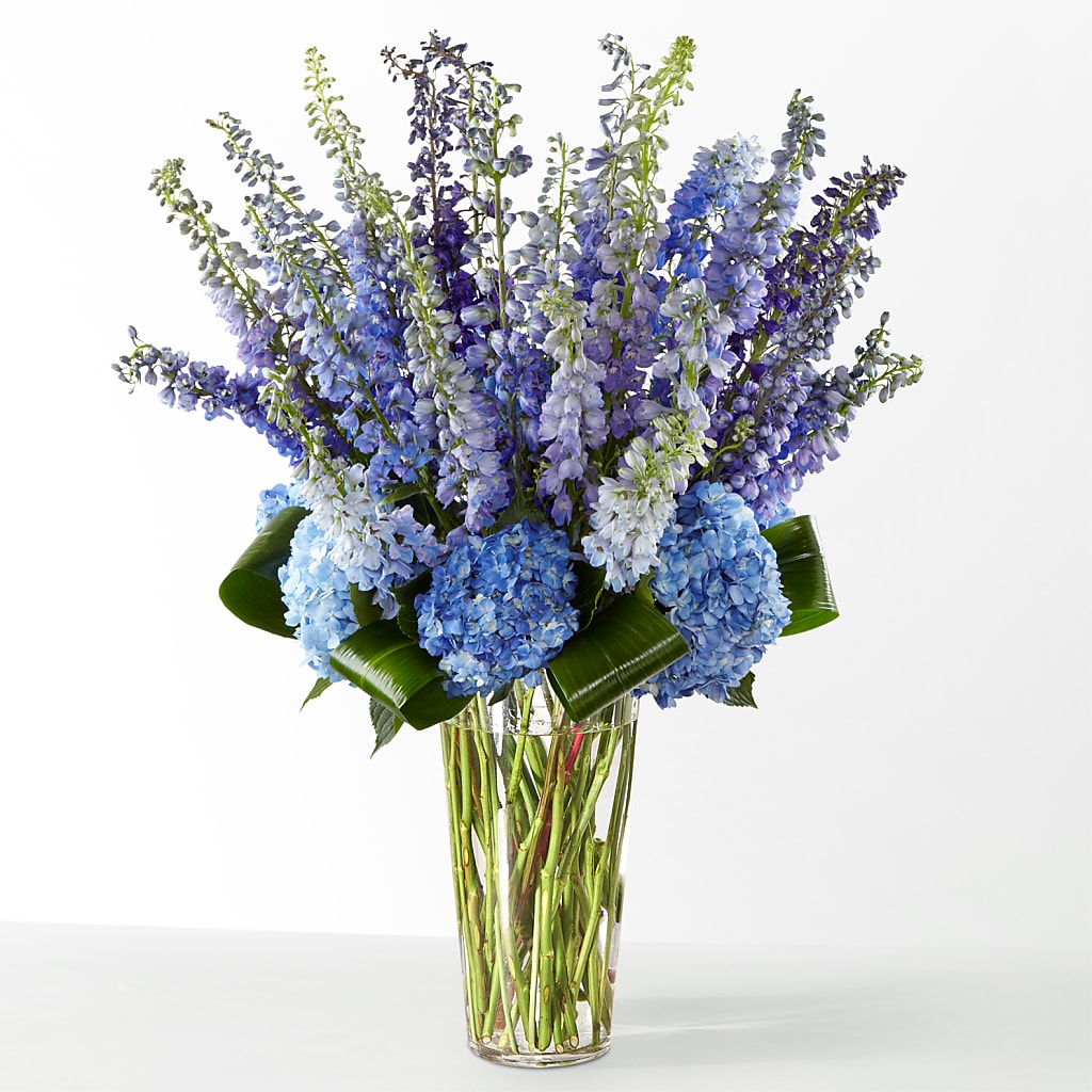 The Editorial – Oceanside Florist, Oceanside NY