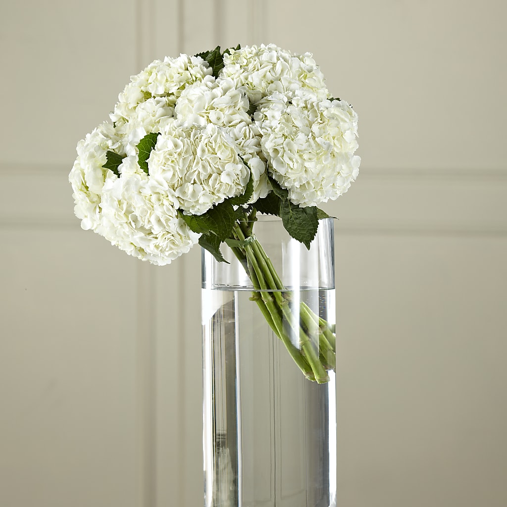 White Hydrangea Hand-Tied Bouquet – Oceanside Florist, Oceanside NY