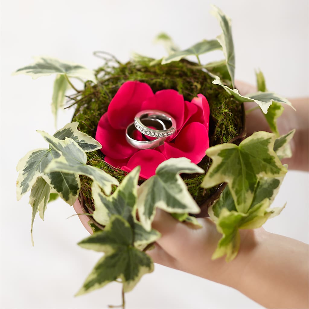 Lila Rose Ring Nest – Oceanside Florist, Oceanside NY