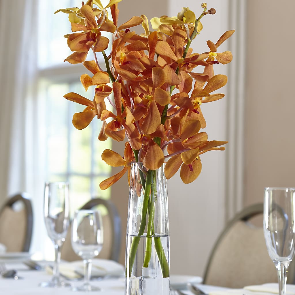 Orange Mokara Bud Vase – Oceanside Florist, Oceanside NY