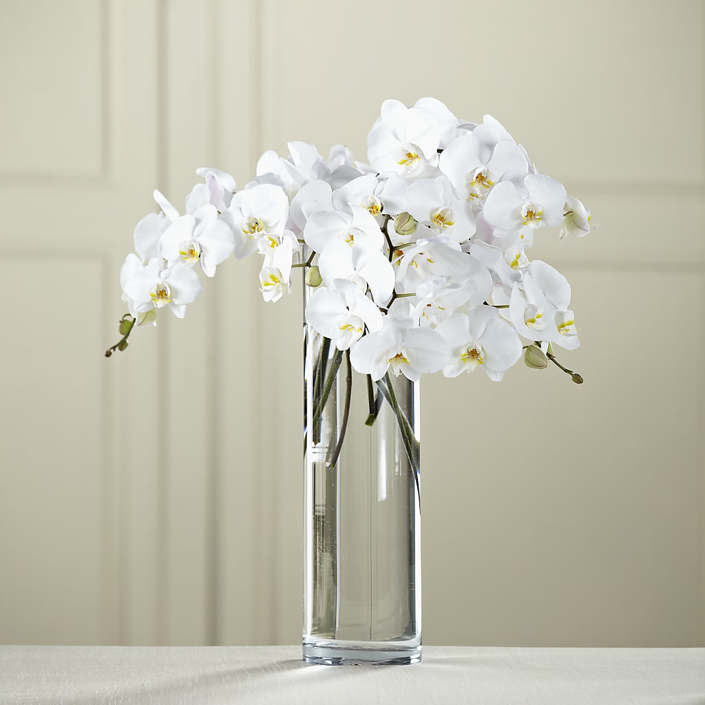 White Phalaenopsis Bouquet – Oceanside Florist, Oceanside NY