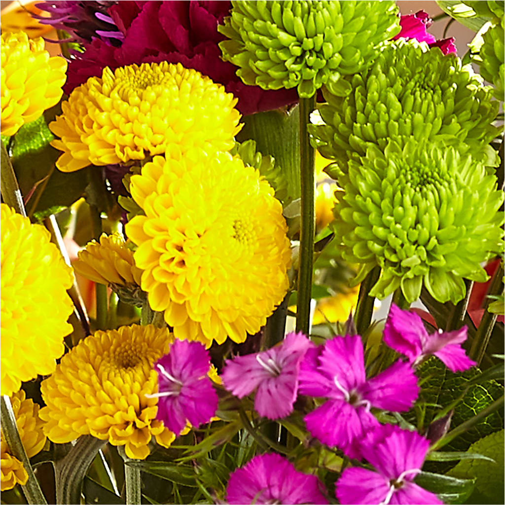 Bold & Bright – A Florist Original –  Oceanside Florist, Oceanside NY