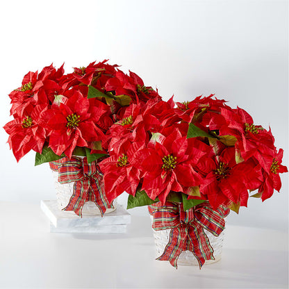 Happiest Holidays Poinsettia Bundle –  Oceanside Florist, Oceanside NY