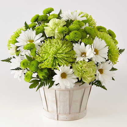 Lucky Charm Basket (Standard) –  Oceanside Florist, Oceanside NY