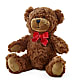 Adorable Plush Bear –  Oceanside Florist, Oceanside NY