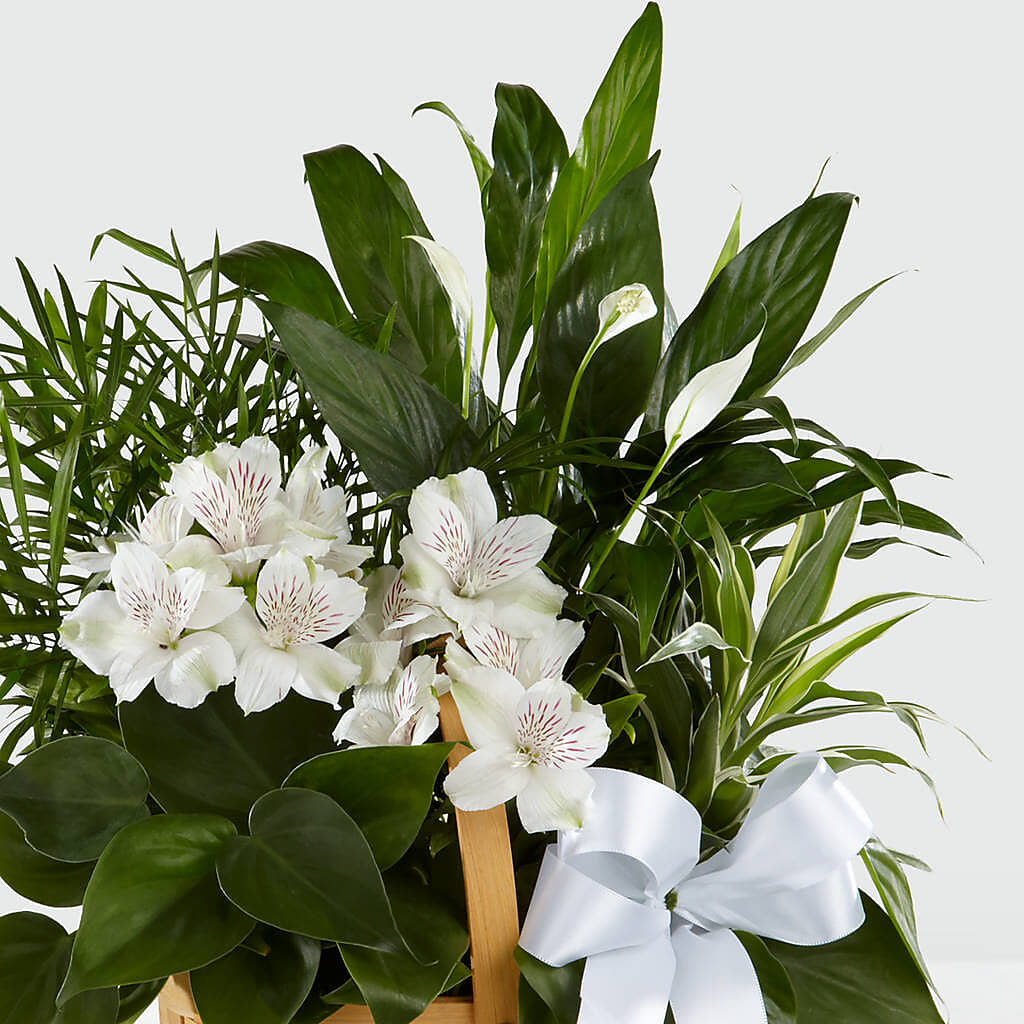 Peace & Serenity Dishgarden –  Oceanside Florist, Oceanside NY