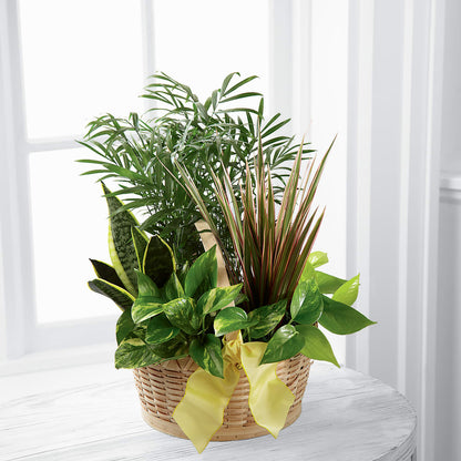 French Garden –  Oceanside Florist, Oceanside NY