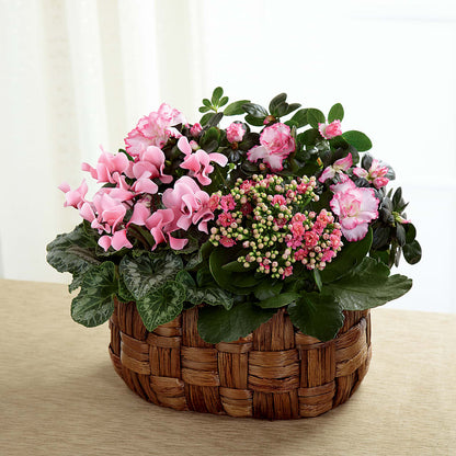 Pink Assortment –  Oceanside Florist, Oceanside NY