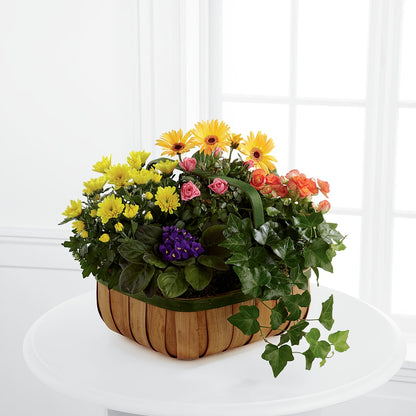 Gentle Blossoms Basket –  Oceanside Florist, Oceanside NY