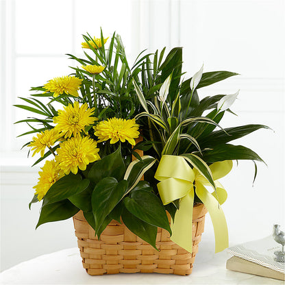 Loving Light Dishgarden –  Oceanside Florist, Oceanside NY