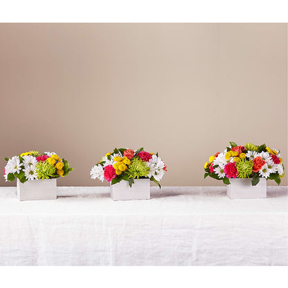 Sorbet Bouquet –  Oceanside Florist, Oceanside NY
