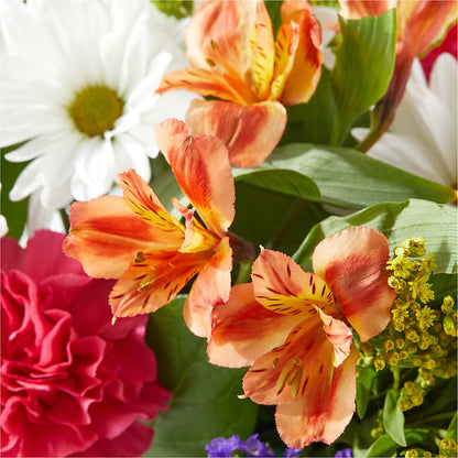 Oopsie Daisy Box Bouquet –  Oceanside Florist, Oceanside NY