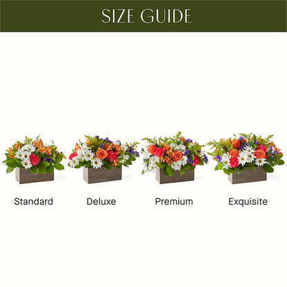 Oopsie Daisy Box Bouquet –  Oceanside Florist, Oceanside NY