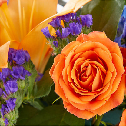 Radiant Citrus Box Bouquet –  Oceanside Florist, Oceanside NY