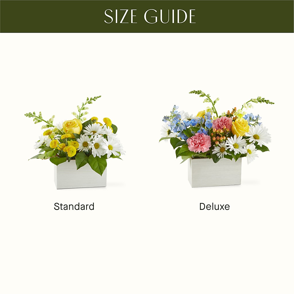Sun Salutation Box Bouquet –  Oceanside Florist, Oceanside NY