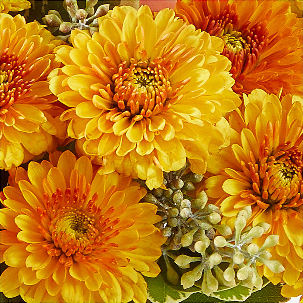 Peachy Pumpkin –  Oceanside Florist, Oceanside NY