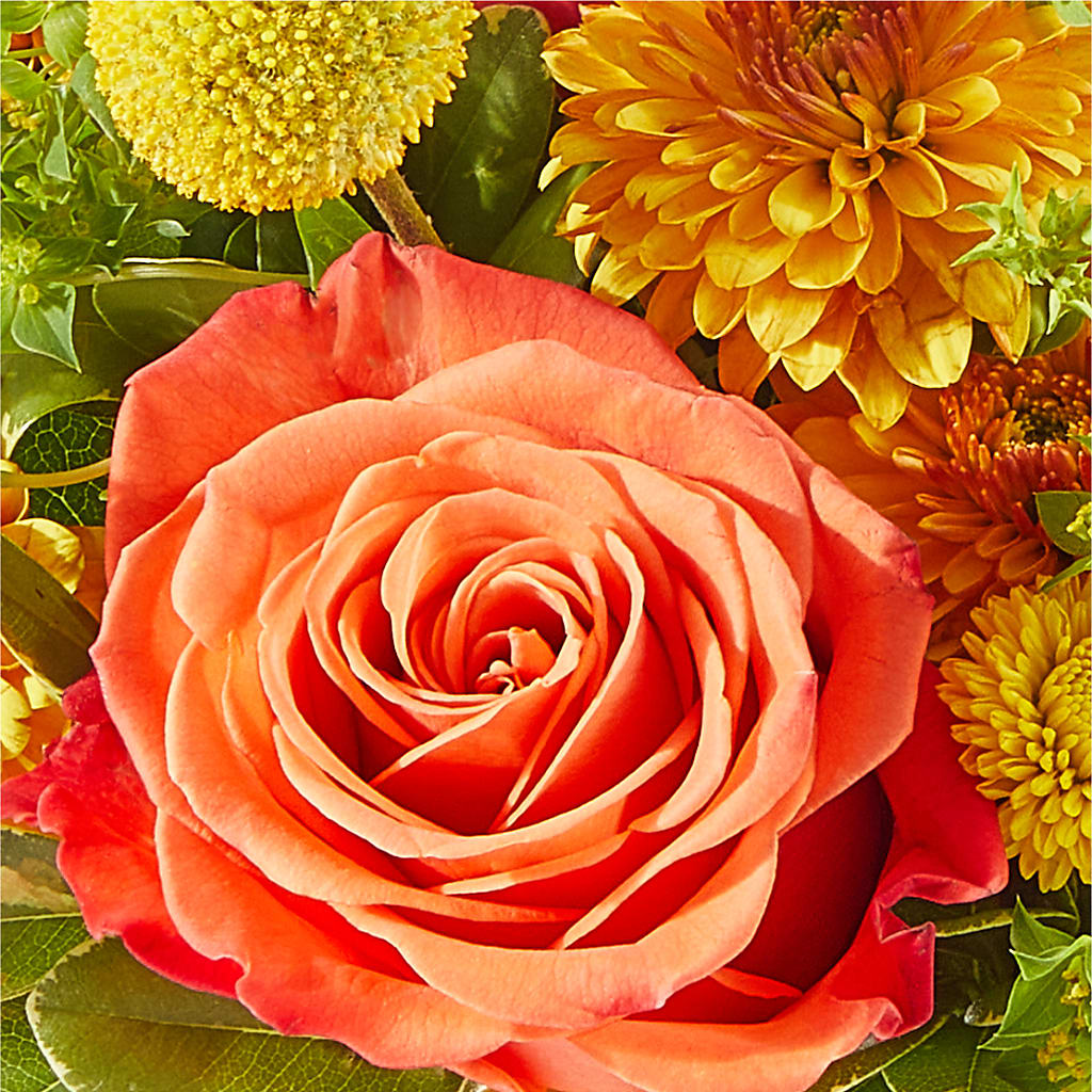 Gourdgeous Pumpkin –  Oceanside Florist, Oceanside NY
