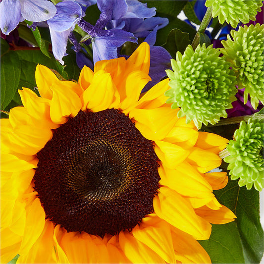 Catching Rays Bouquet –  Oceanside Florist, Oceanside NY