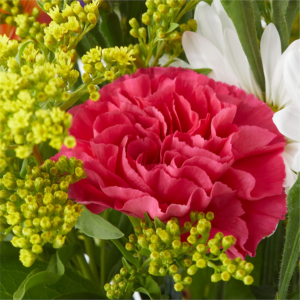 Oopsie Daisy Bouquet –  Oceanside Florist, Oceanside NY