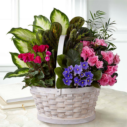 Peaceful Garden Planter –  Oceanside Florist, Oceanside NY