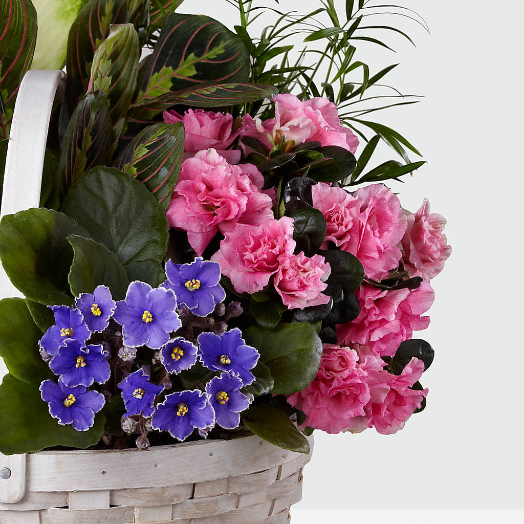 Peaceful Garden Planter –  Oceanside Florist, Oceanside NY