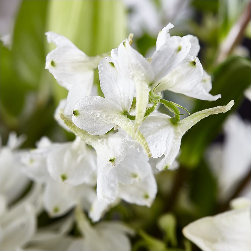 Classic Ivory – A Florist Original –  Oceanside Florist, Oceanside NY