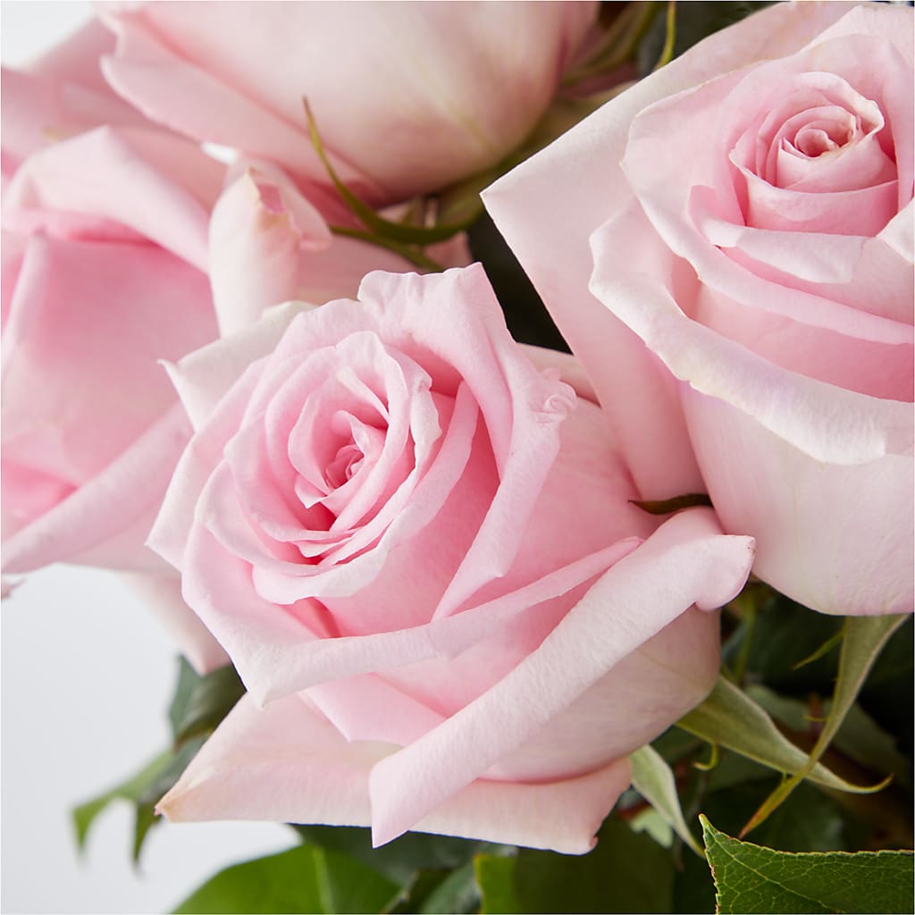 Picture Perfect Pink Rose Bouquet –  Oceanside Florist, Oceanside NY