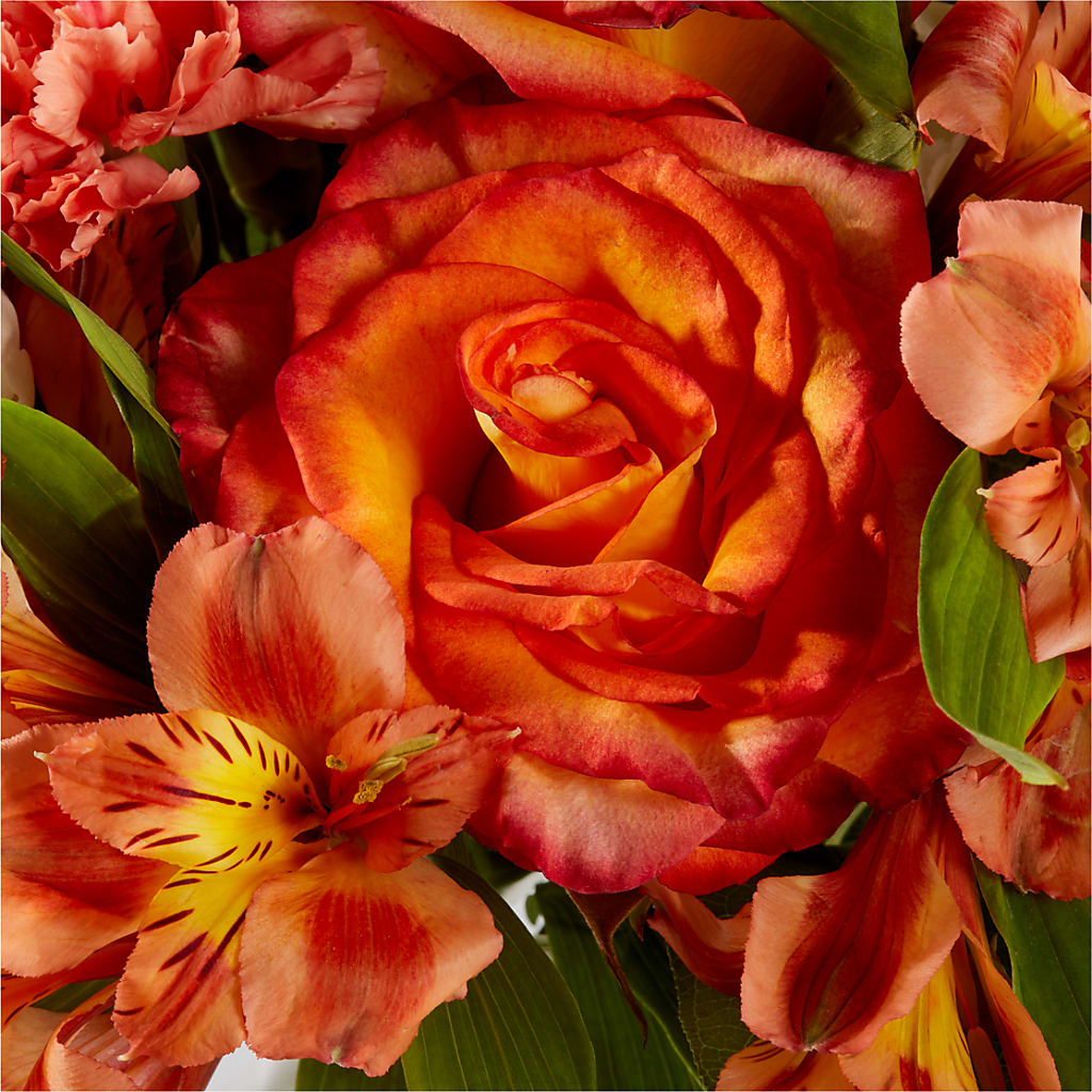 Apricot Glow Bouquet –  Oceanside Florist, Oceanside NY