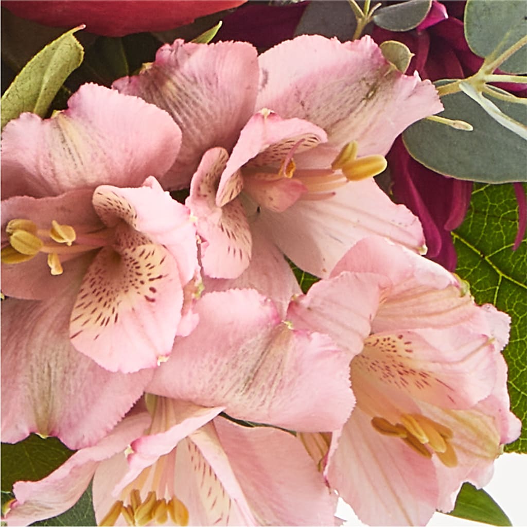 Berry Cobbler Bouquet –  Oceanside Florist, Oceanside NY