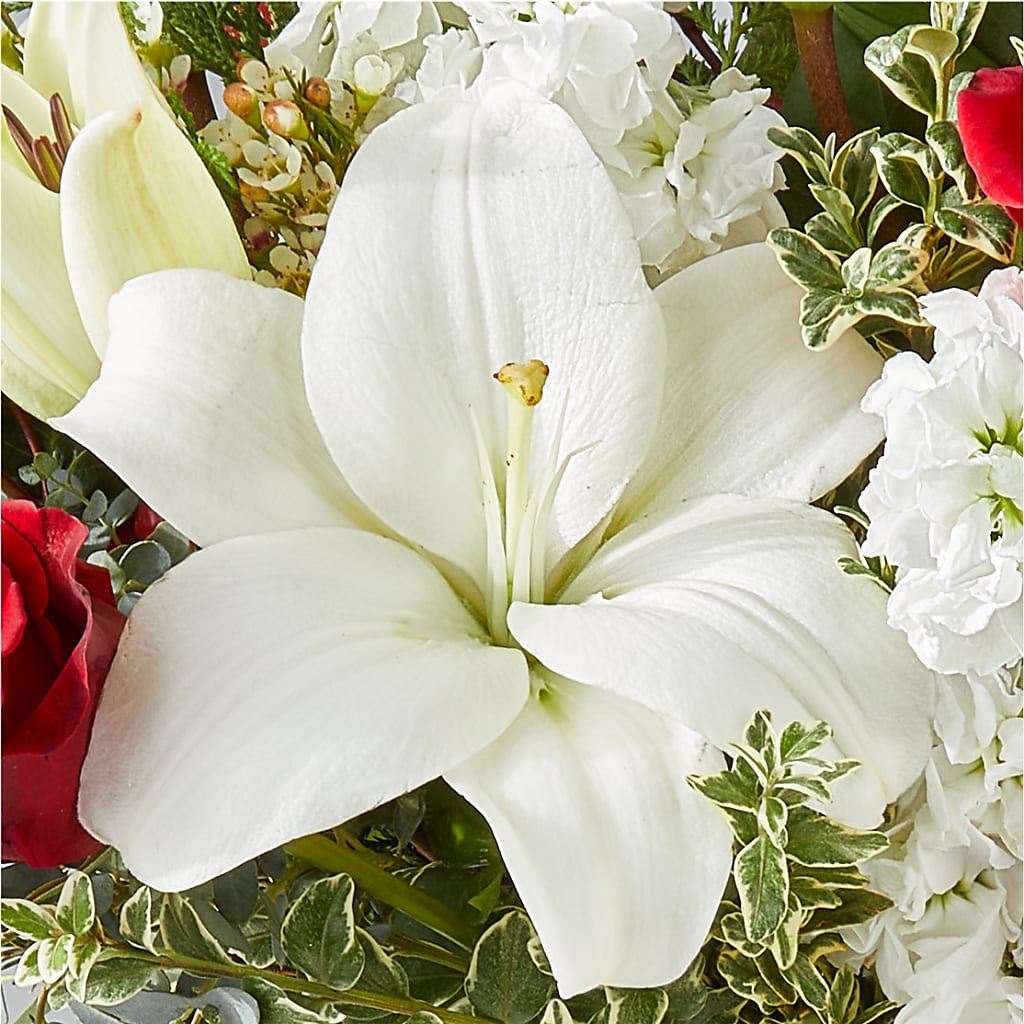 Twinkle Lights Bouquet –  Oceanside Florist, Oceanside NY
