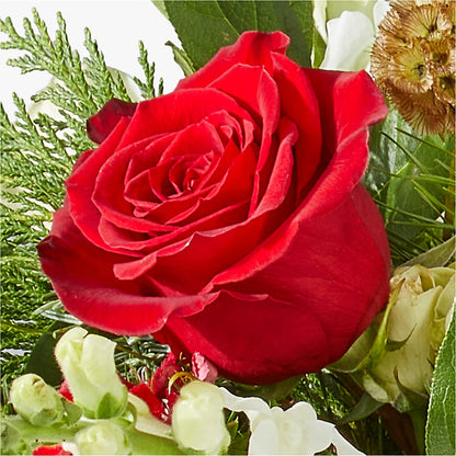 Deck the Halls Bouquet –  Oceanside Florist, Oceanside NY