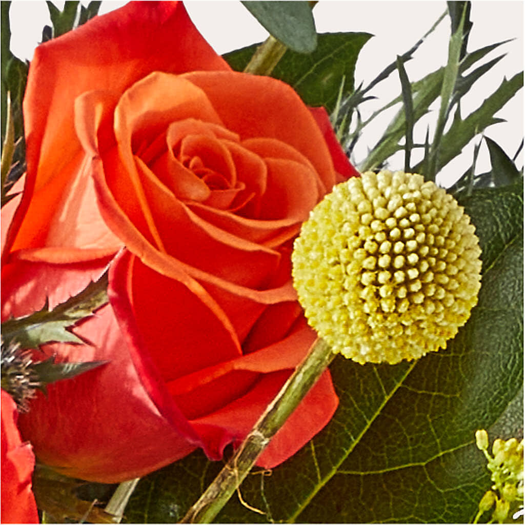 Disco Bouquet –  Oceanside Florist, Oceanside NY