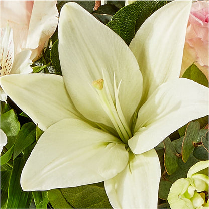 Ballet Slippers Bouquet –  Oceanside Florist, Oceanside NY