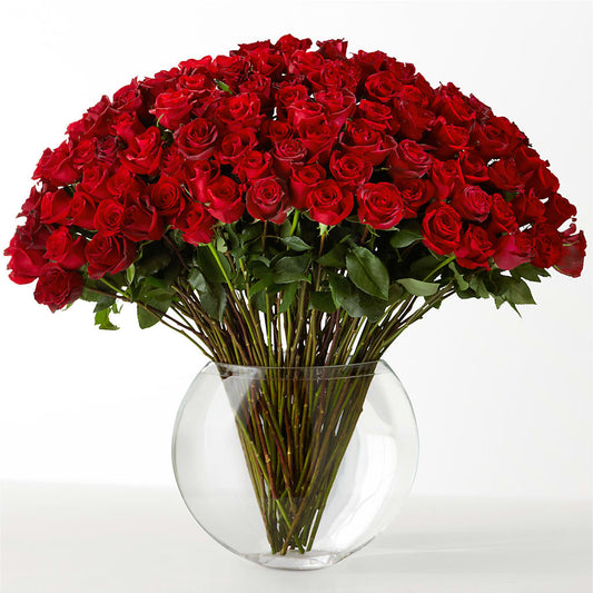 The Idealist –  Oceanside Florist, Oceanside NY