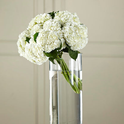 White Hydrangea Hand-Tied Bouquet –  Oceanside Florist, Oceanside NY