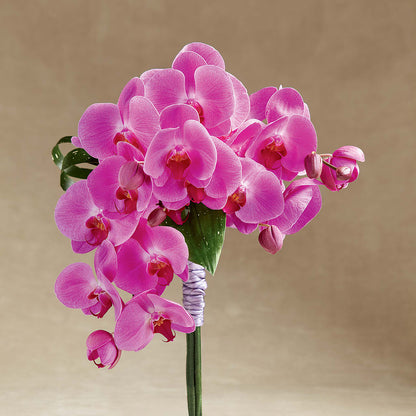 Glorious Bouquet –  Oceanside Florist, Oceanside NY
