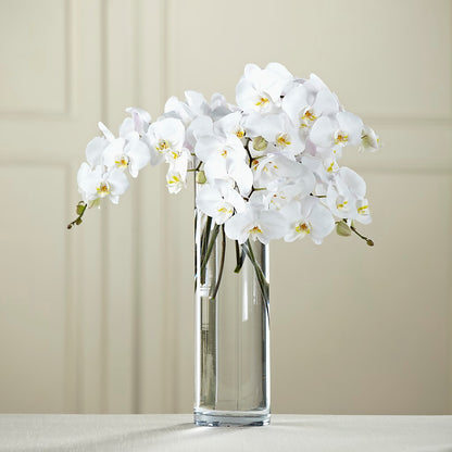 White Phalaenopsis Bouquet –  Oceanside Florist, Oceanside NY